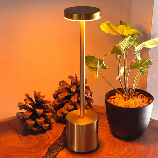 Rechargeable Metal Touch LED Lamps